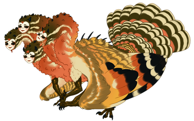 Hydra